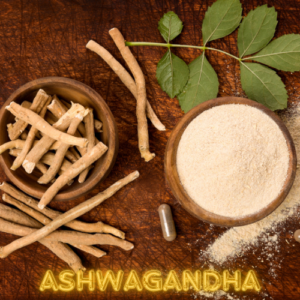 Ashwagandha for Strong Immune System